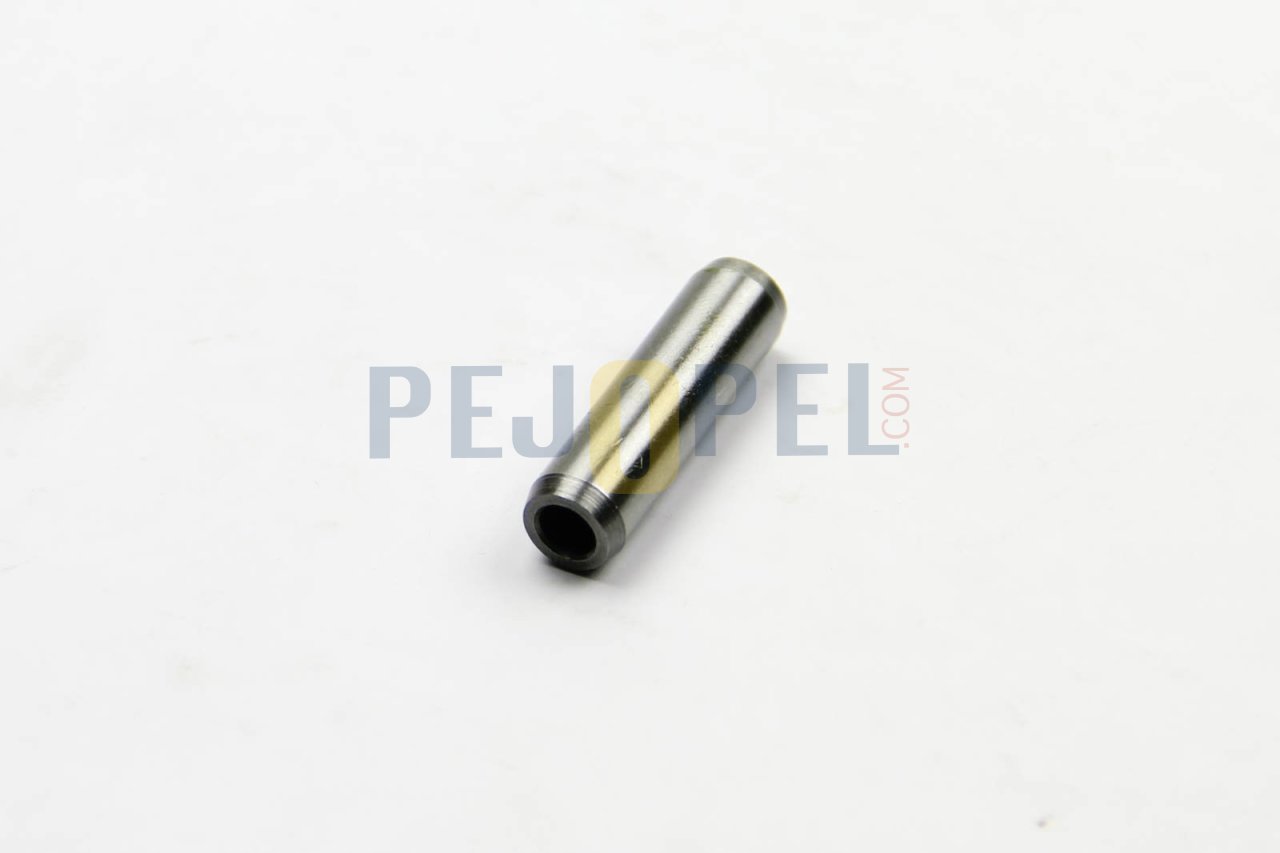 PEUGEOT & CITROEN 106 / 206 / 307 / 406 / C4 / C5 99--> 2.0 16V EW10J4 MOTOR SUBAP GAYD TAKIMI