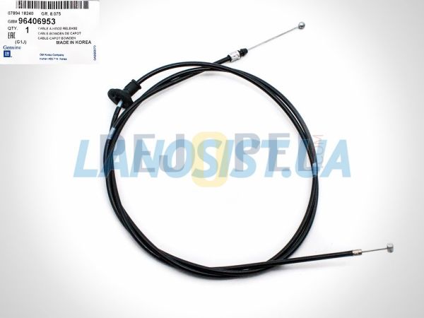 LACETTİ 04- BM KAPUT TELİ